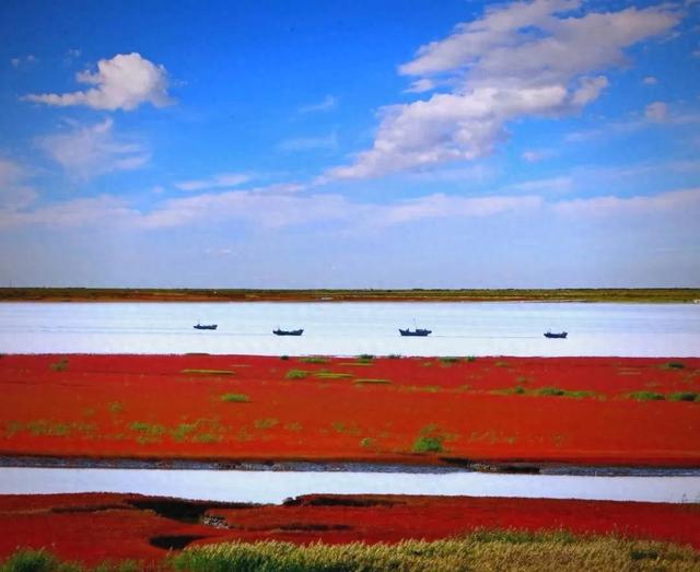 盘锦9月中下旬生态文化之旅全攻略：红海滩湿地与历史的完美邂逅