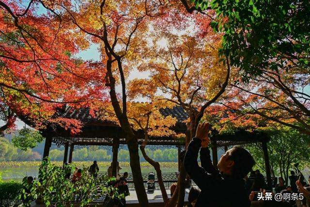 杭州西湖的景色还不错！