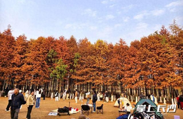 松雅湖：冬日美景入画来