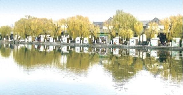 “金柳映湖”引客来