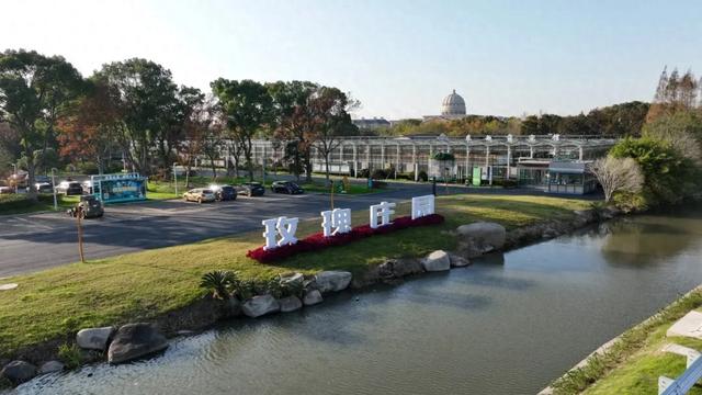 太仓版“玫瑰的故事”，浪漫开篇！