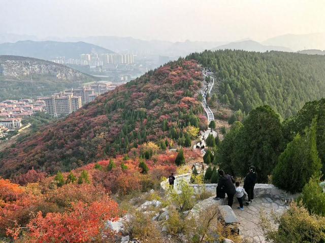 醉染蚰蜒山