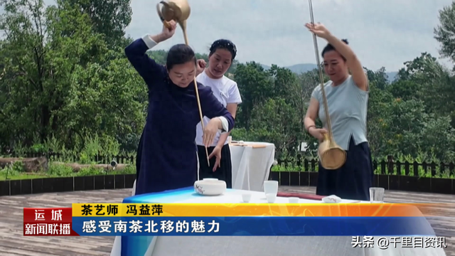 夏县泗交镇：茶香雅韵邂逅草坪音乐节