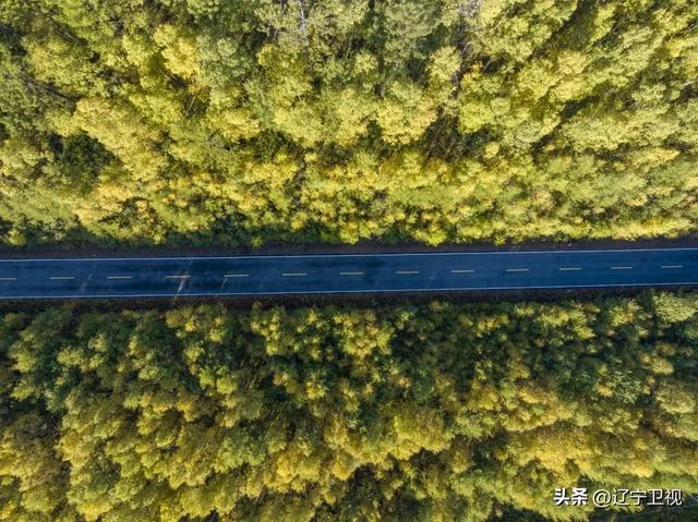 辽宁封神级别的秋天就在这！这条“醉”美边境公路就在辽宁