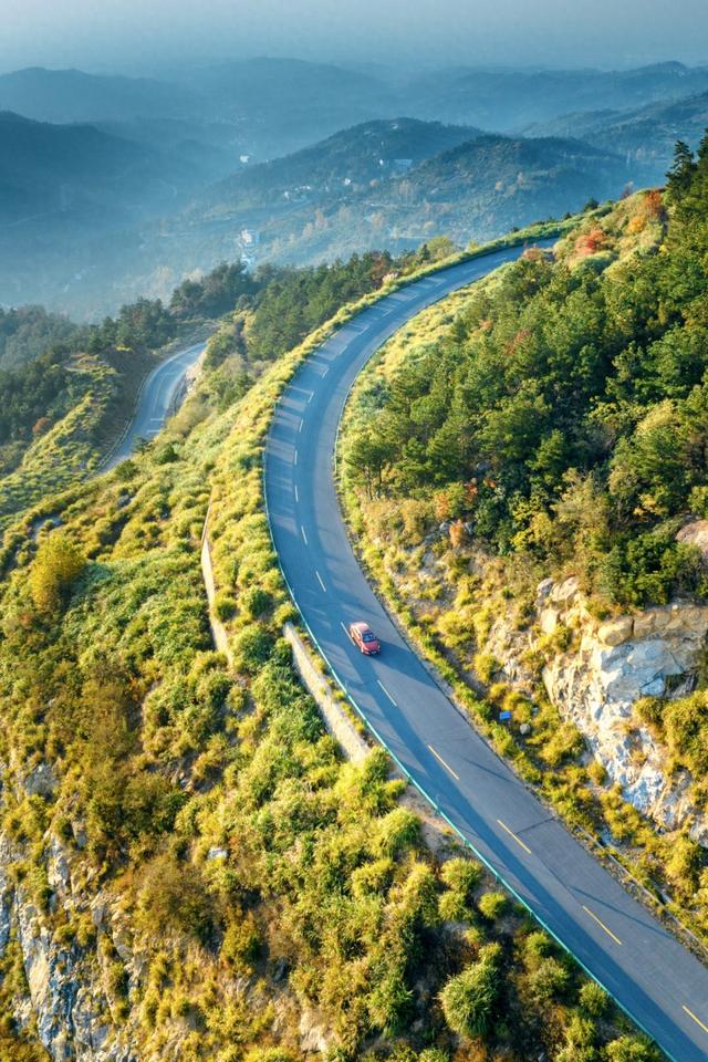 别去日本了！新洲的“同款”风景，美得更懂你