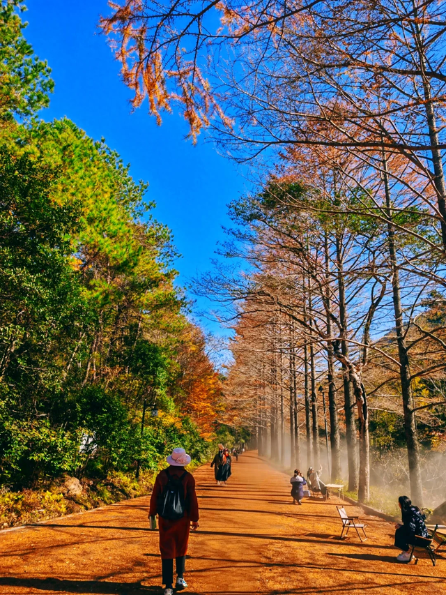 初冬“回血”指南，一起解锁自然疗愈之旅