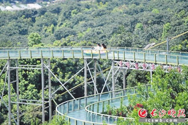 莲花山的嘉年华 | 翻山阅岭——山水洲城·探山大型融媒体调查报告④