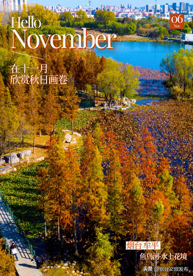 【乐游烟台】最新实拍！烟台鱼鸟河“顶级秋色”加载中