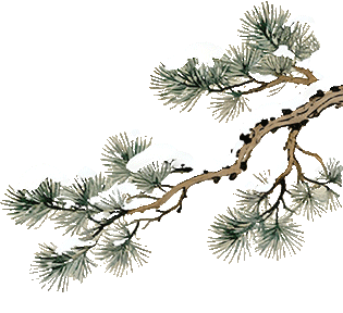 正式亮相！古城添新，相约最美的季节~