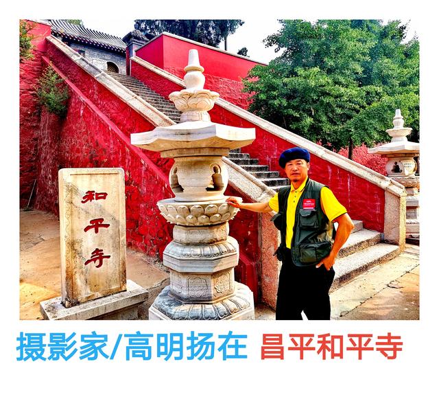 你去过，昌平和平寺吗？有银杏树打卡！