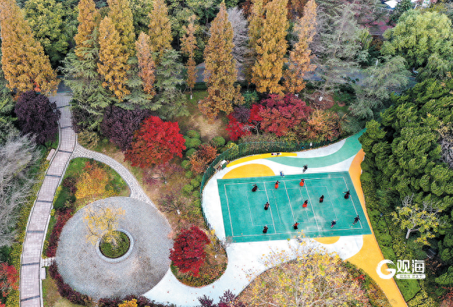 青岛“公园+体育”：人景相融“动”起来