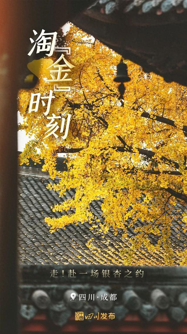 出发！来四川淘“金”