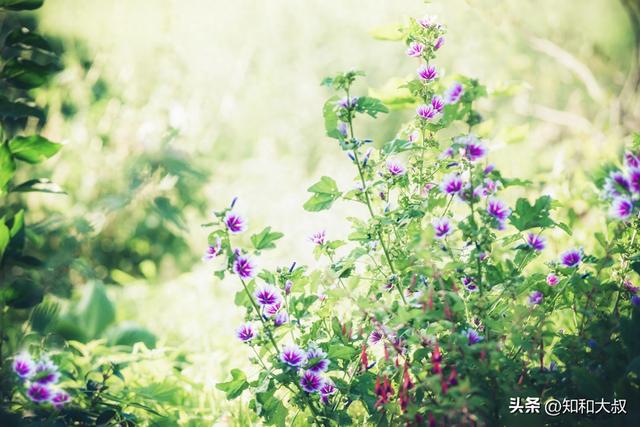 人际关系里，你不主动联系别人，别人就不会找你，原因只有一个