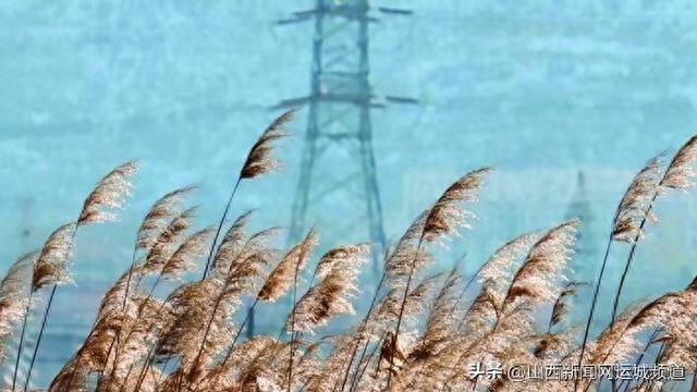 来，到运城“小橘子洲头”走走！