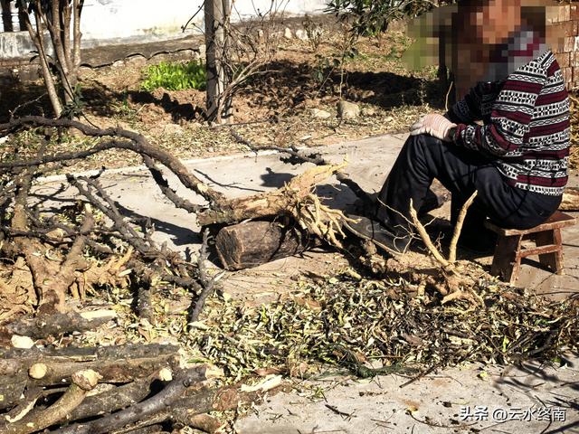 蓝田连导航都没有的路，我小半天竟然过了5个峪口！也是长本事了