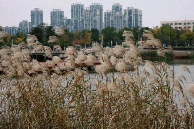 宣城的“橙黄橘绿”正在加载中■■■■■■□