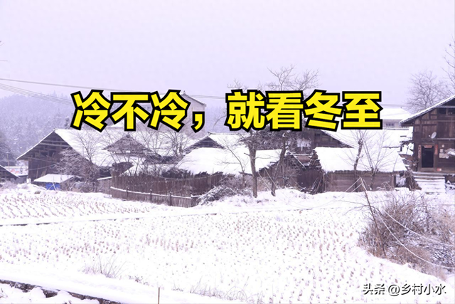 今日冬至，老人说“冷不冷，就看冬至”，今年冬天是暖冬吗？