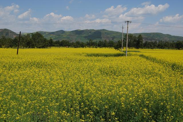 亲情在车轮上流淌 ——载着父母去旅行 之 一路向西