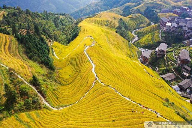 广西发布暑期旅游线路产品指导价