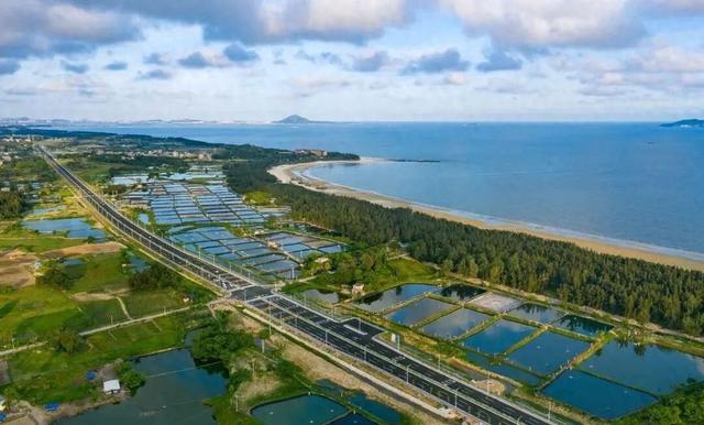 2025年度美丽公路，茂名+2！