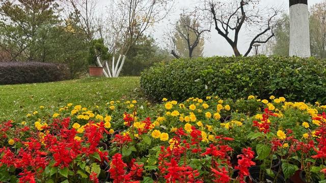 新视界｜济南佛慧山：初冬木叶黄 山高雾沾衣