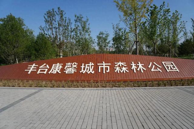 首发动态 | 康馨城市森林公园：以绿为底，解锁全龄共享新体验