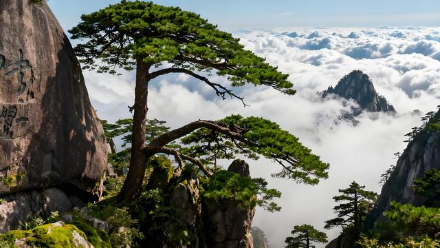 探秘黄山：你不知道的绝美景点大曝光！