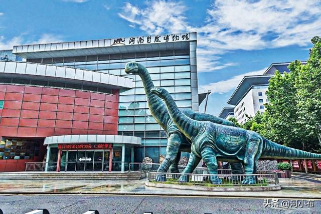 郑州室内遛娃好去处！藏在郑州的"魔法屋"！解锁亿万年的奇妙旅程