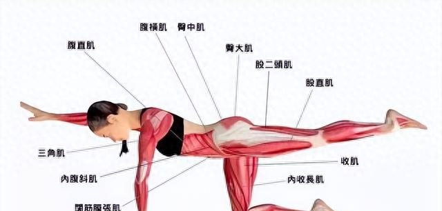 健身为什么要练核心，核心又是什么，怎么练？