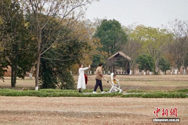 浙江杭州良渚古城遗址公园冬日美景吸引游人