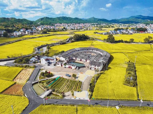 龙岩怎么拍都出片！这几个赏秋胜地可冲→