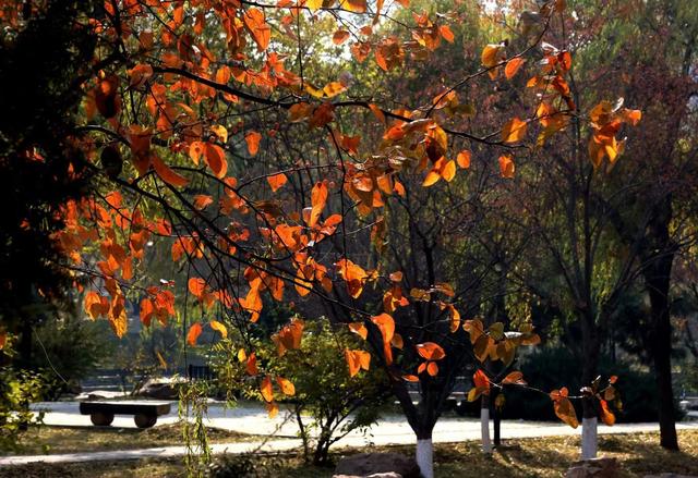 邂逅那一抹醉人的秋色