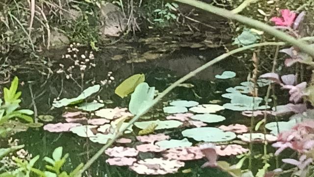宜人宜春 硒水温汤