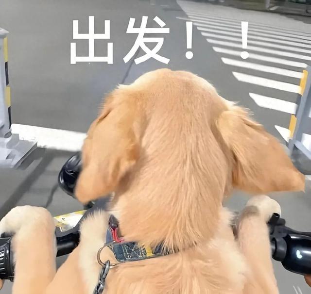解锁南沙5公里慢行道打卡指南→