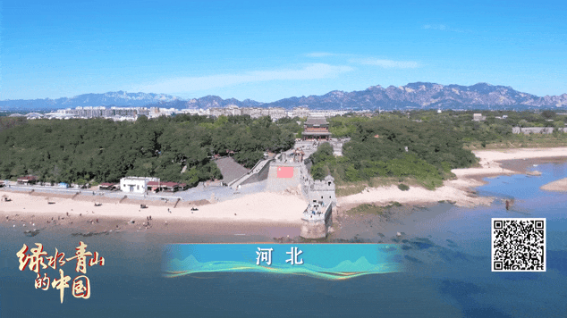 绿水青山的中国丨碧海生金！旧码头蝶变新地标