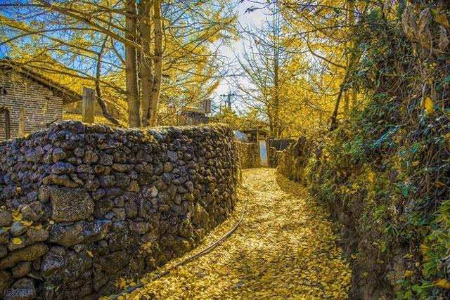 11月-1月，秋冬来云南，这10处绝美风景，是最佳观赏期