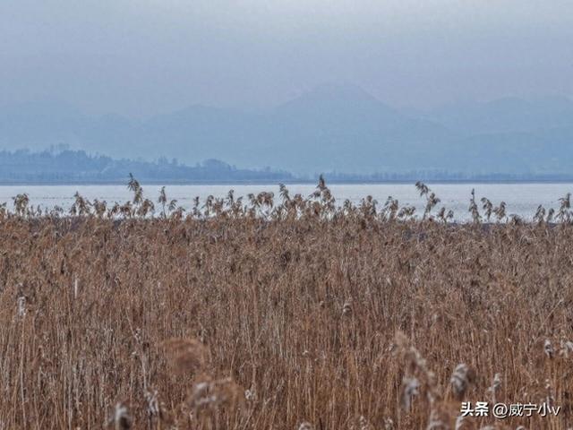 琼枝映草海 雾凇绘高原——威宁草海北坡生态公园现冬日限定仙境