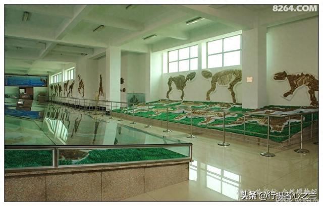 山东行游影记（33）—平邑天宇自然博物馆（八）