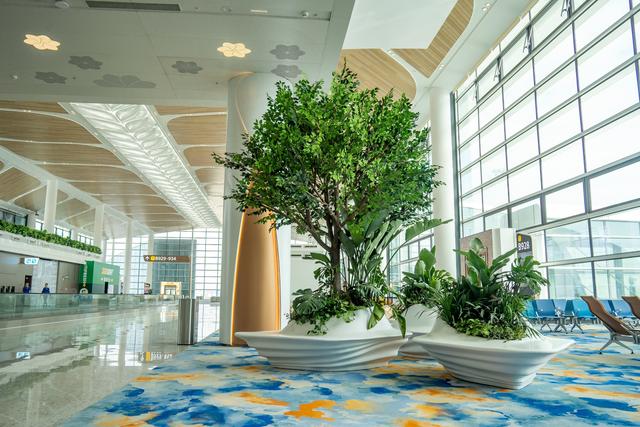 广州白云T3航站楼启用：全国最大单体机场诞生，岭南花城新地标