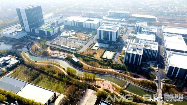 这几年，白鹭爱上了安阳