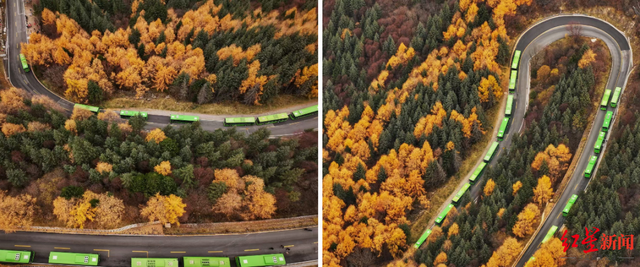 四川各大景区活力满满，呈现文旅新气象新场景