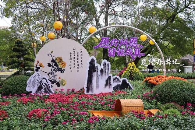宁波镇海推出新的菊花展，5个赏菊地连成一条线，堪称史上最美