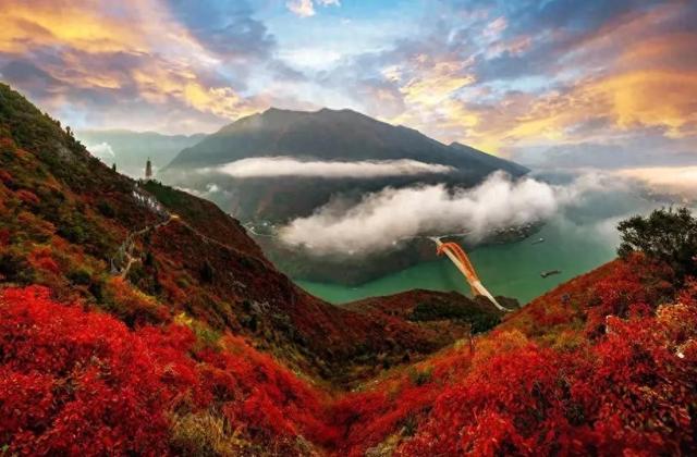 收藏!2025重庆最全赏秋地图出炉,这些私藏秘境美到犯规!