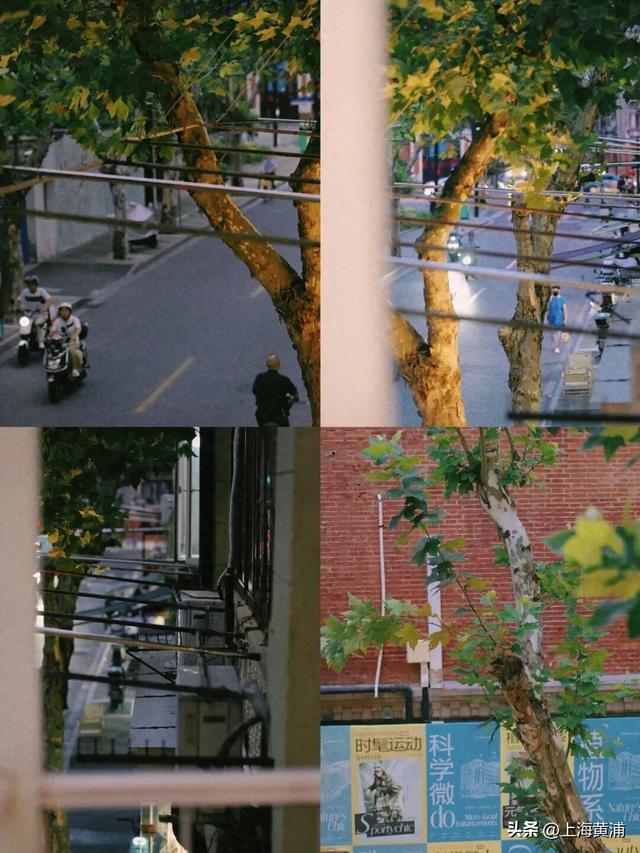 丁玲故居里藏着一家裁缝铺，90后苏州姑娘和淡水路的缘妙不可言