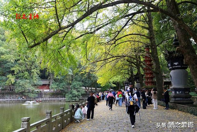 天童寺的高光时刻，禅意弥漫，东谷秋红