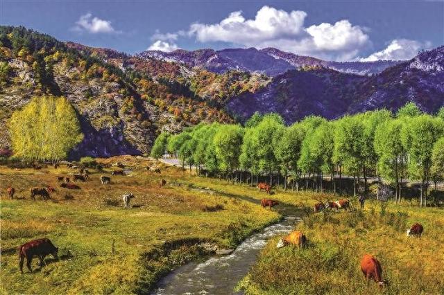 执镜寻秋 入画庞泉