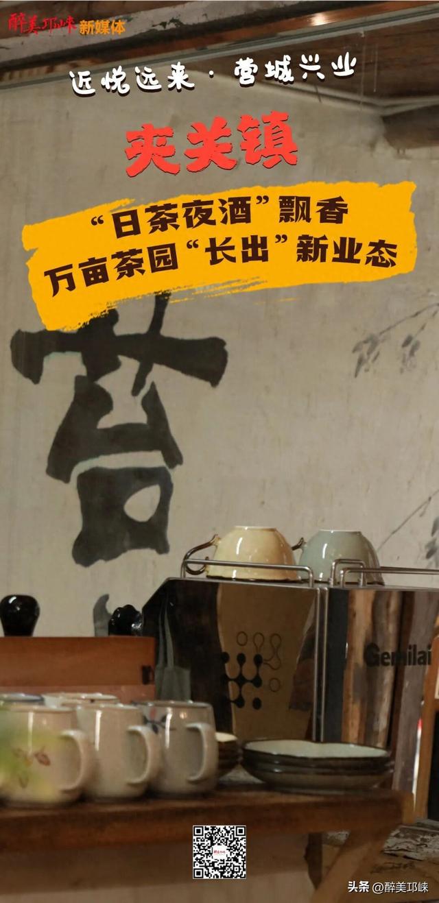 近悦远来·营城兴业丨夹关镇：“日茶夜酒”飘香，万亩茶园“长出”新业态