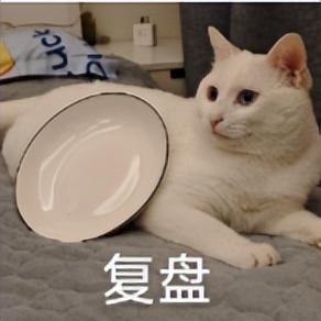 最佳观赏期！雅安的红叶彩林“封神”啦！