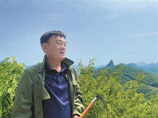 守护根脉 火映新生