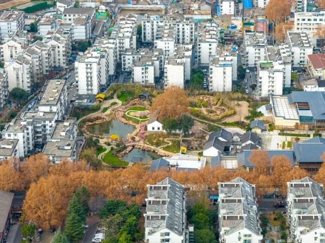 南京这座新落成的读书台，专治各种“不想学习”